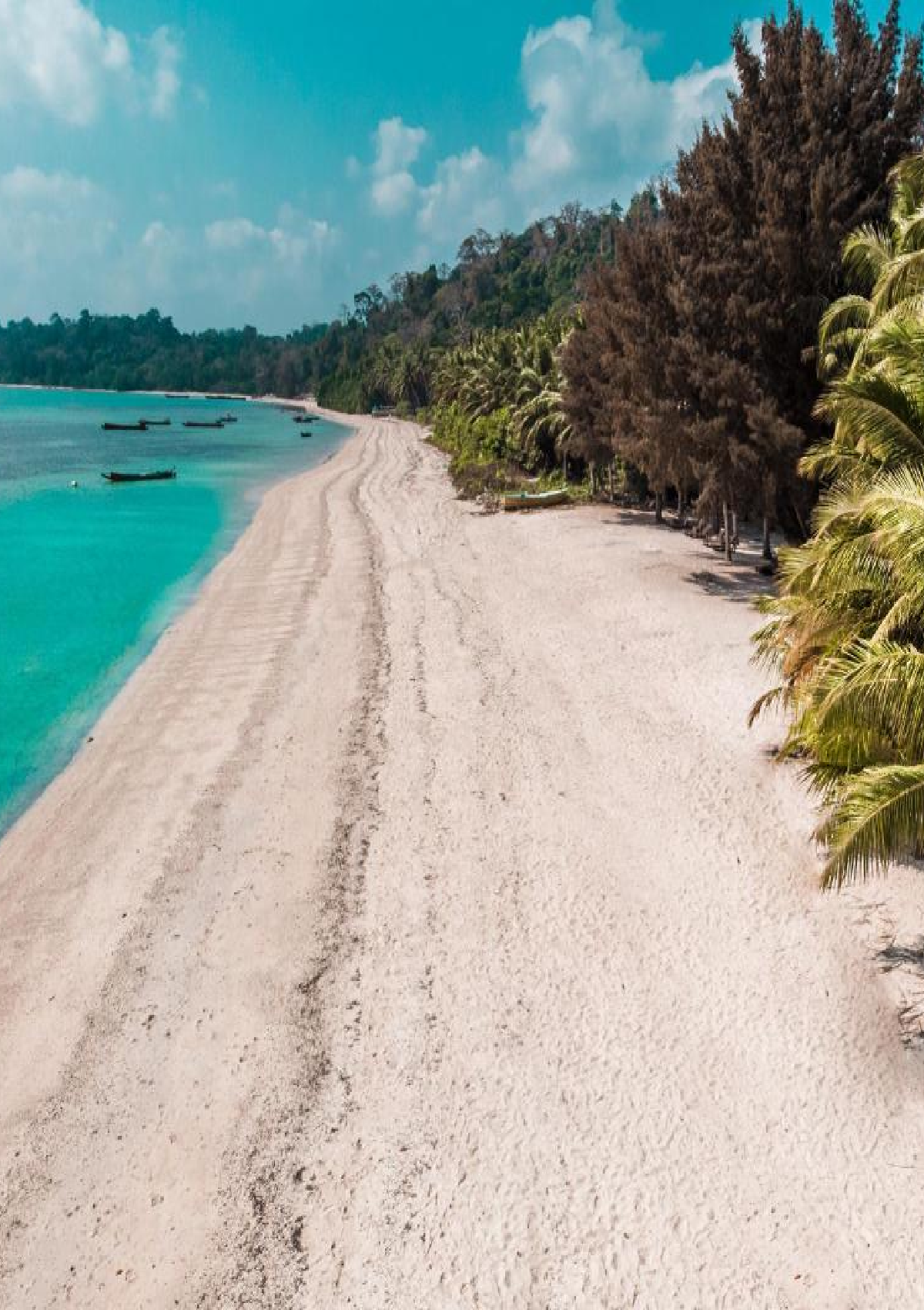 havelock